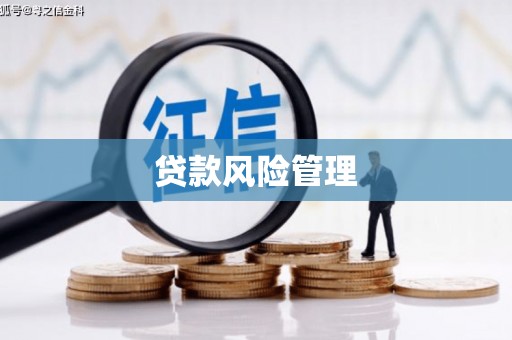 南岸贷款风险管理