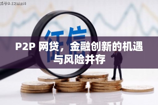 南岸P2P 网贷，金融创新的机遇与风险并存
