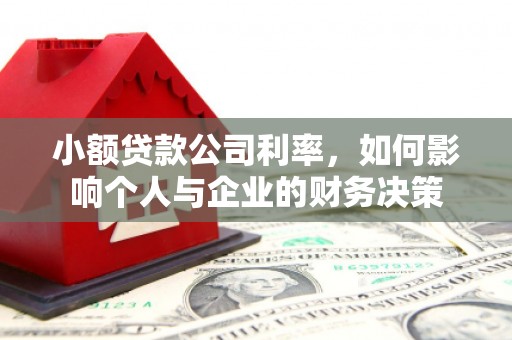 南岸小额贷款公司利率，如何影响个人与企业的财务决策