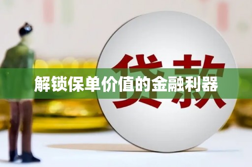 南岸解锁保单价值的金融利器