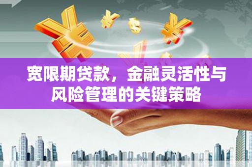 南岸宽限期贷款，金融灵活性与风险管理的关键策略