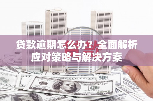 南岸贷款逾期怎么办？全面解析应对策略与解决方案