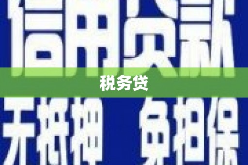 南岸税务贷