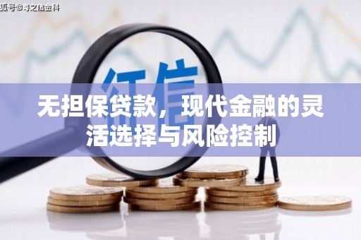 南岸无担保贷款，现代金融的灵活选择与风险控制