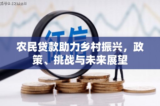 南岸农民贷款助力乡村振兴，政策、挑战与未来展望