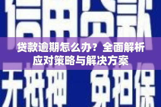 南岸贷款逾期怎么办？全面解析应对策略与解决方案