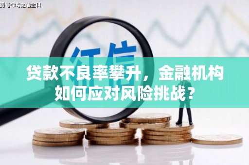 南岸贷款不良率攀升，金融机构如何应对风险挑战？