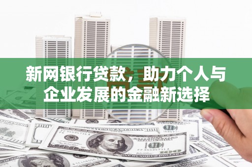 南岸新网银行贷款，助力个人与企业发展的金融新选择