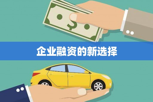 南岸企业融资的新选择