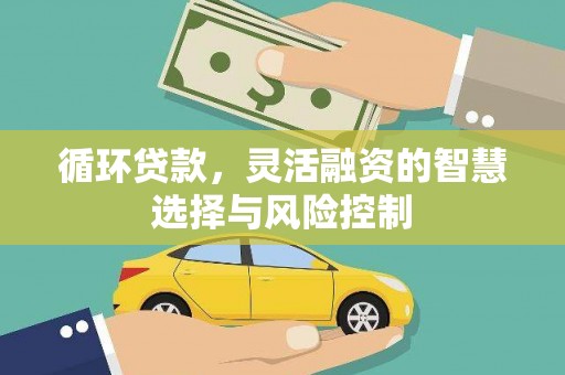 南岸循环贷款，灵活融资的智慧选择与风险控制