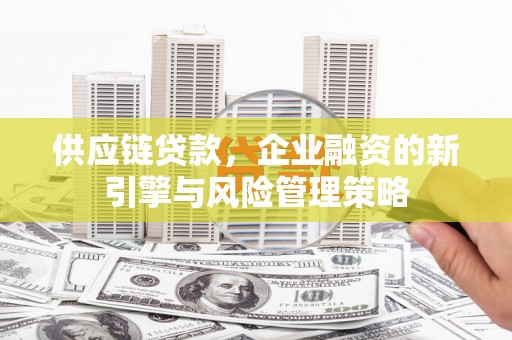 南岸供应链贷款，企业融资的新引擎与风险管理策略