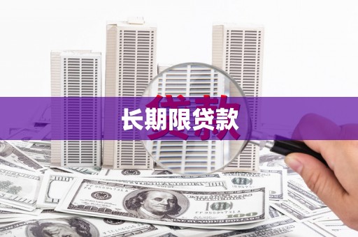 南岸长期限贷款