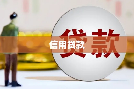 南岸信用贷款