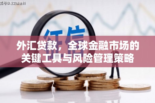 南岸外汇贷款，全球金融市场的关键工具与风险管理策略