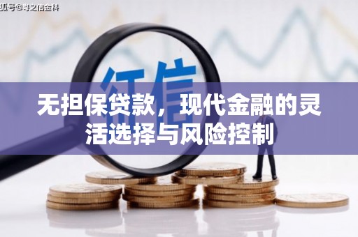 南岸无担保贷款，现代金融的灵活选择与风险控制