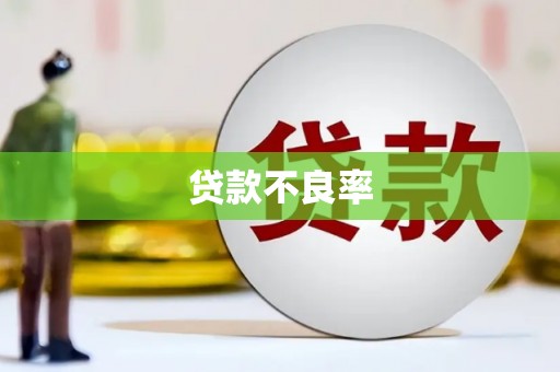 南岸贷款不良率