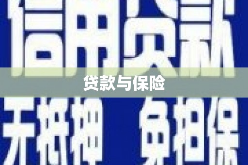 南岸贷款与保险