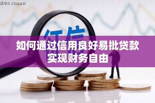 南岸如何通过信用良好易批贷款实现财务自由