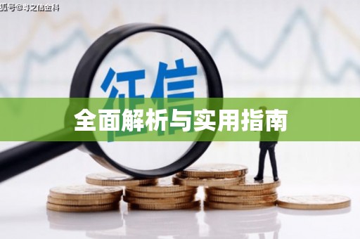 南岸全面解析与实用指南