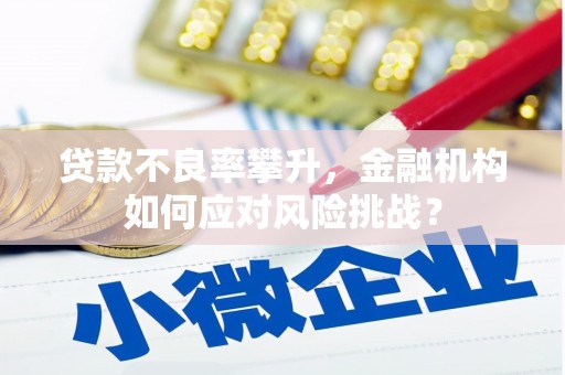 南岸贷款不良率攀升，金融机构如何应对风险挑战？