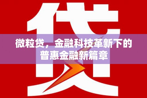 南岸微粒贷，金融科技革新下的普惠金融新篇章