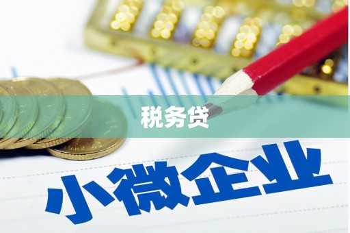 南岸税务贷