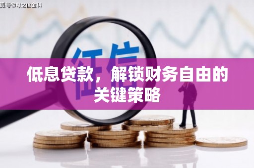 南岸低息贷款，解锁财务自由的关键策略