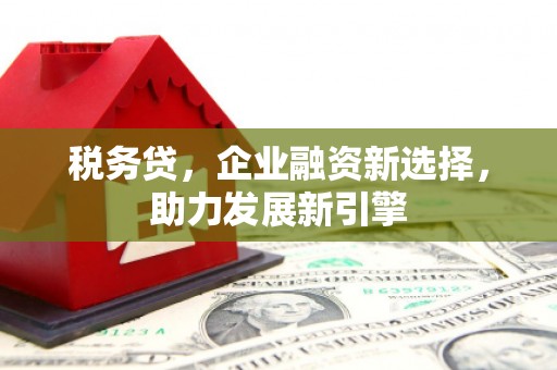南岸税务贷，企业融资新选择，助力发展新引擎