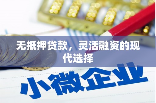 南岸无抵押贷款，灵活融资的现代选择