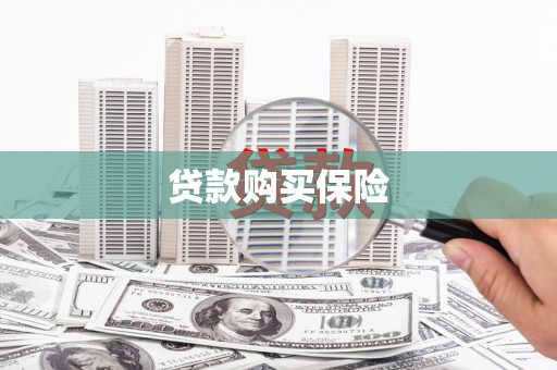 南岸贷款购买保险