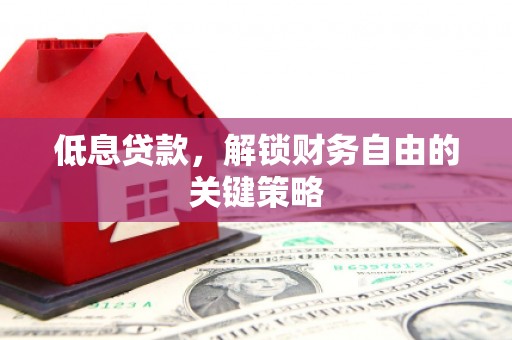 南岸低息贷款，解锁财务自由的关键策略