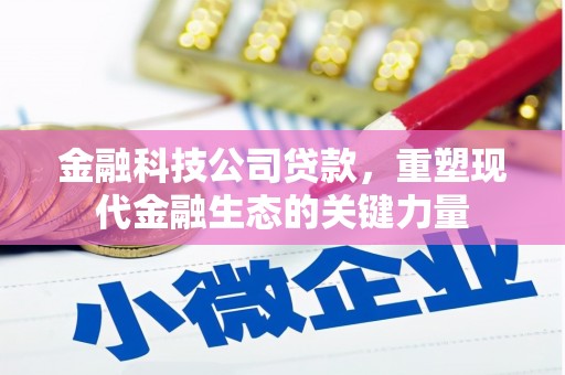 南岸金融科技公司贷款，重塑现代金融生态的关键力量