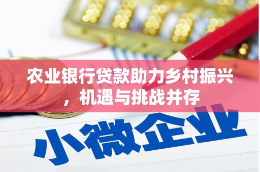 南岸农业银行贷款助力乡村振兴，机遇与挑战并存