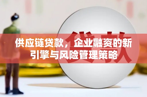 南岸供应链贷款，企业融资的新引擎与风险管理策略