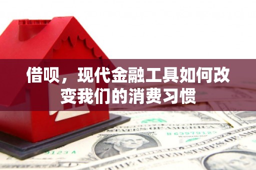 南岸借呗，现代金融工具如何改变我们的消费习惯