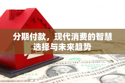 南岸分期付款，现代消费的智慧选择与未来趋势