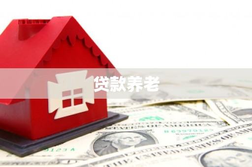 南岸贷款养老