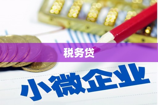 南岸税务贷