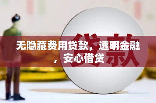 南岸无隐藏费用贷款，透明金融，安心借贷