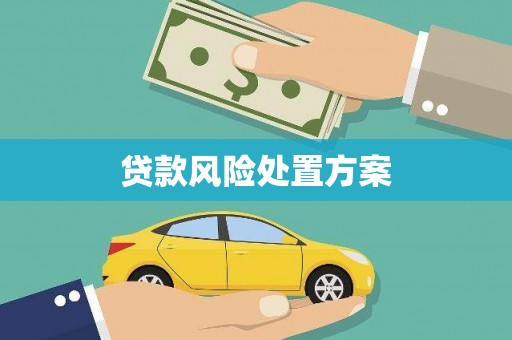 南岸贷款风险处置方案