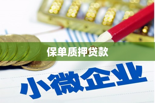 南岸保单质押贷款