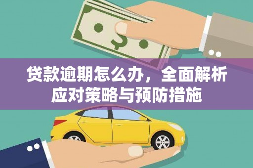 南岸贷款逾期怎么办，全面解析应对策略与预防措施