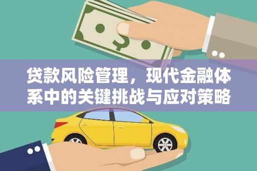南岸贷款风险管理，现代金融体系中的关键挑战与应对策略