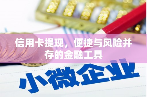 南岸信用卡提现，便捷与风险并存的金融工具