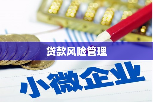 南岸贷款风险管理
