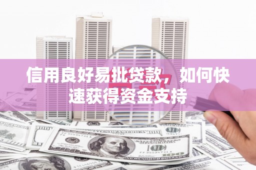 南岸信用良好易批贷款，如何快速获得资金支持