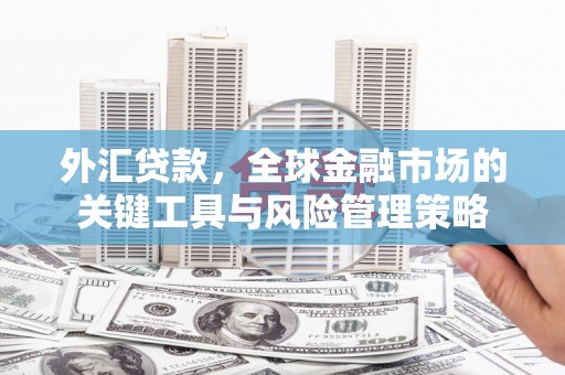 南岸外汇贷款，全球金融市场的关键工具与风险管理策略