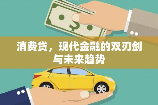 南岸消费贷，现代金融的双刃剑与未来趋势