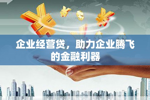 南岸企业经营贷，助力企业腾飞的金融利器