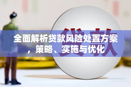 南岸全面解析贷款风险处置方案，策略、实施与优化